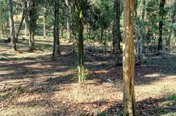 Terreno para venda,  Corredeiras, Campo Alegre