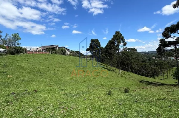 Terreno para venda,  25 De Julho, São Bento Do Sul