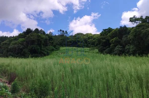 Ótimo Terreno para Chácara,  Dona Francisca, São Bento Do Sul