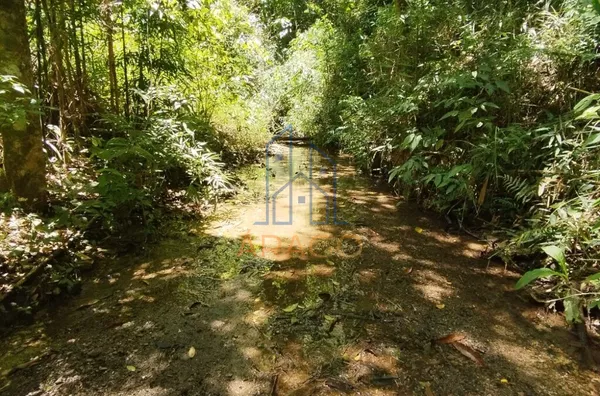 Terreno para Chácara (20 mil mt²) - Campo Novo, Piên-PR