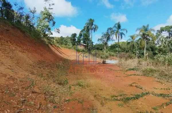 Terreno EXCELENTE PARA CHÁCARA - venda,  Serra Alta, São Bento Do Sul