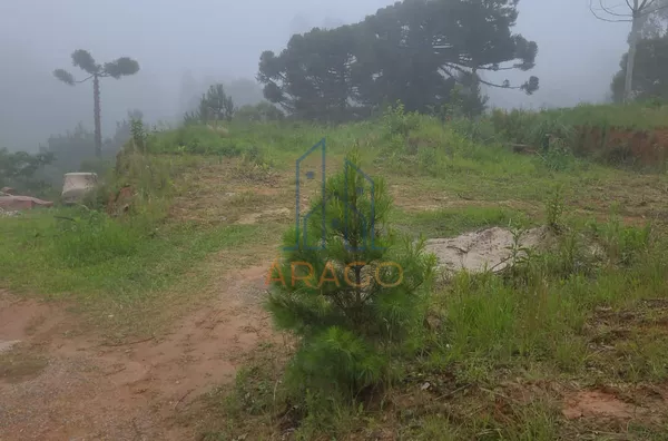 Terreno para venda,  Serra Alta, São Bento Do Sul