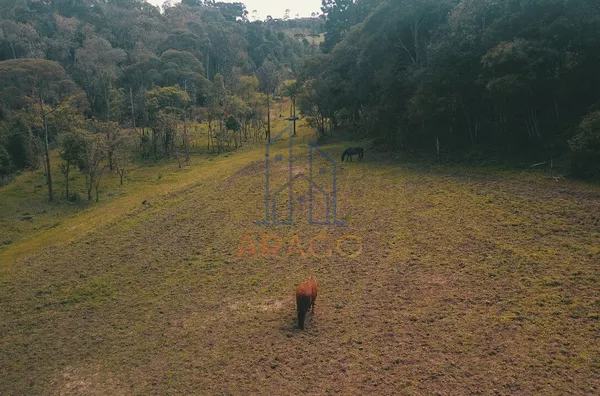 Chácara para venda,  Vila Pilz, São Bento Do Sul