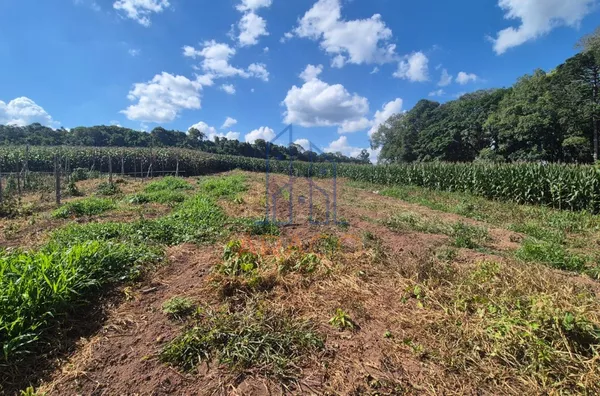 Terreno para venda,  Bairro Dona Francisca, São Bento Do Sul