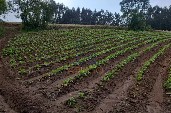 Terreno para venda,  água Clara De Baixo, Quitandinha