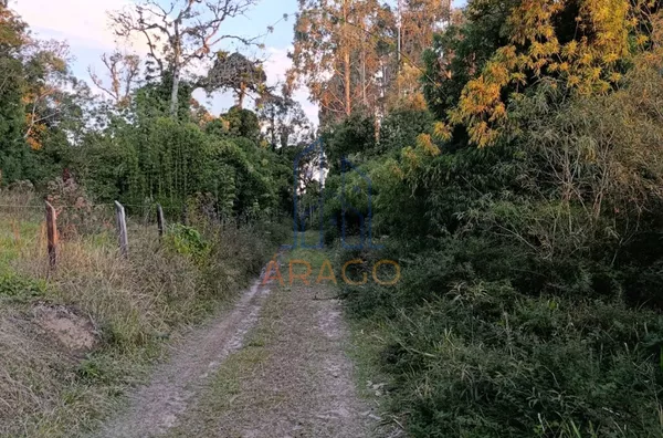 Terreno para venda,  Serra Alta, São Bento Do Sul
