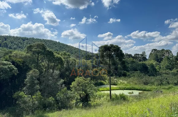 Chácara para venda,  - Palmitos, Agudos do Sul