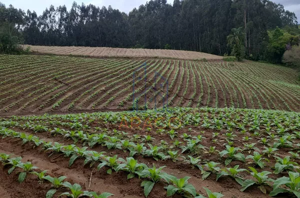 Terreno para venda,  água Clara De Baixo, Quitandinha