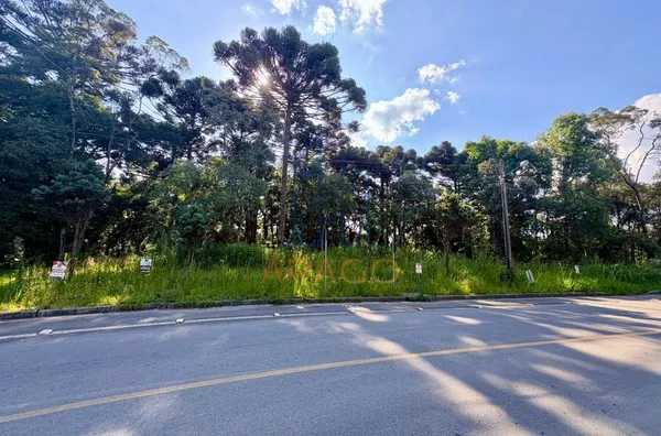 Terreno para venda,  Progresso, São Bento Do Sul