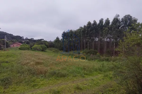 Terreno para venda,  Rio Vermelho Povoado, São Bento Do Sul