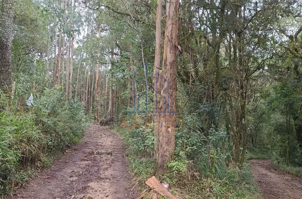 Chácara para venda,  Areias, Agudos