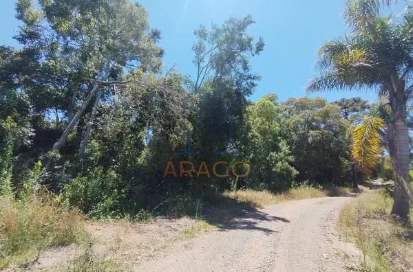 Terreno para Chácara (20 mil mt²) - Campo Novo, Piên-PR