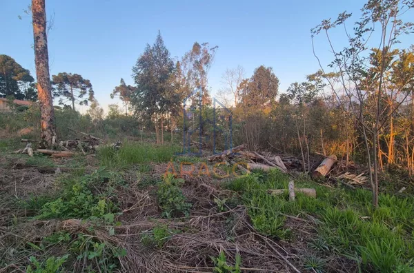 Terreno 1449.16m² ,  Alpino, São Bento Do Sul