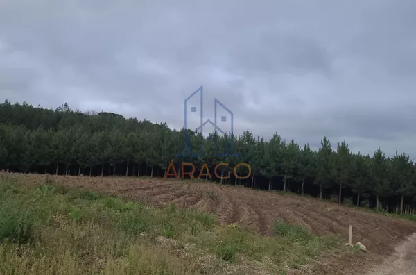 Terreno para venda,  Ponte Alta, Piên