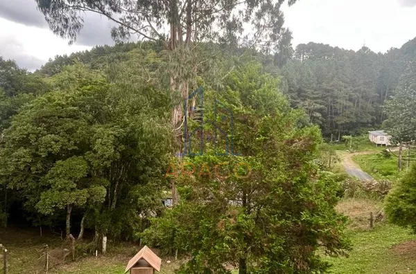 Casa para venda, 3 quarto(s),  25 De Julho, São Bento Do Sul