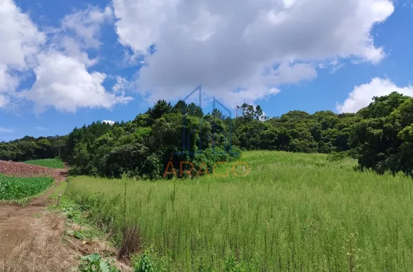 Ótimo Terreno para Chácara,  Dona Francisca, São Bento Do Sul