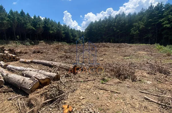 Terreno para venda,  Serra Alta, São Bento Do Sul