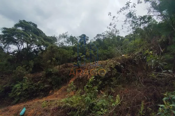 Terreno para Venda,  Serra Alta, São Bento Do Sul