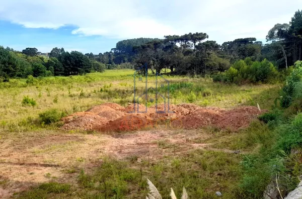 Terreno para venda,  Dona Francisca, São Bento Do Sul