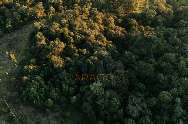 Terreno para venda,  Serra Alta, São Bento Do Sul