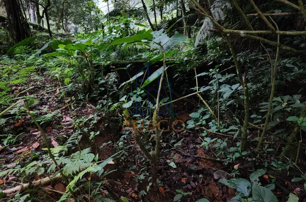 Chácara para venda,  25 De Julho, São Bento Do Sul