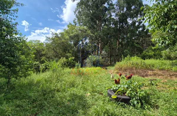 Chácara para venda com pesque pague , Agudos Do Sul