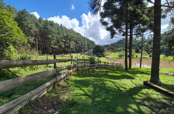 Chácara para venda,  Alegre, Rio Negrinho