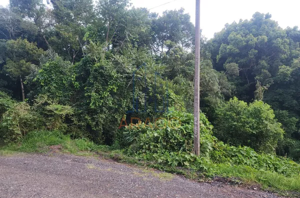 Terreno para venda,  Brasília, São Bento Do Sul