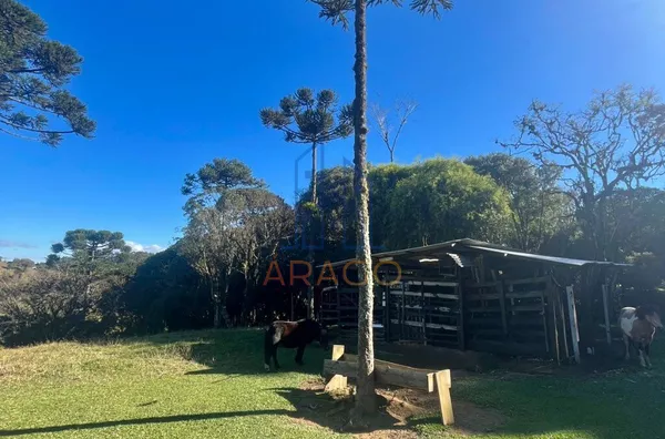 Terreno para venda,  Rio Vermelho Estação, São Bento Do Sul