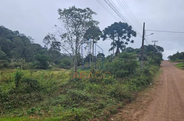 Terreno para venda,  Serra Alta, São Bento Do Sul