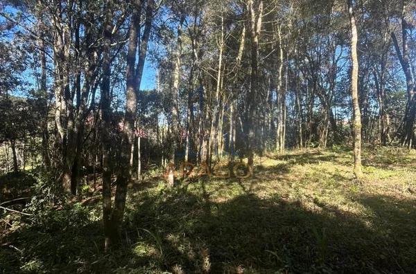 Terreno para ,  Dona Francisca, São Bento Do Sul