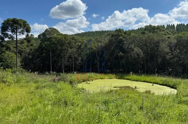 Chácara para venda,  - Palmitos, Agudos do Sul