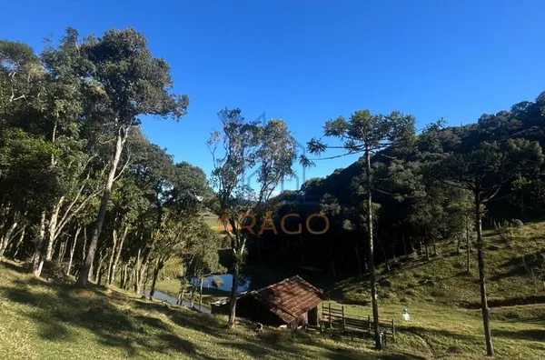 Terreno para venda,  Rio Vermelho Estação, São Bento Do Sul