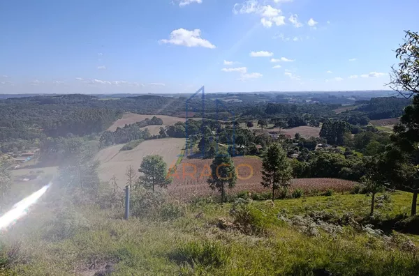 Terreno para venda,  EXCELENTE OPORTUNIDADE PARA CHÁCARAS - BELA ALIANÇA - São Bento do Sul