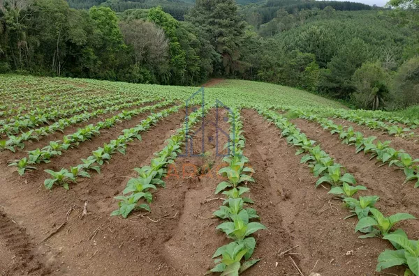 Terreno para venda,  água Clara De Baixo, Quitandinha