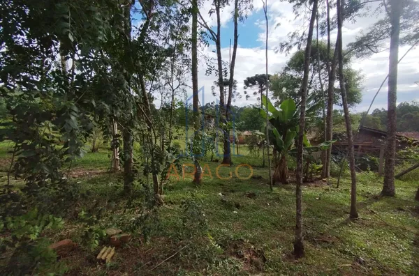 Terreno para venda,  Lençol, São Bento Do Sul