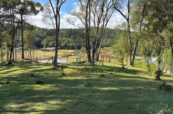 Chácara para venda,  Trigolândia, São Bento Do Sul