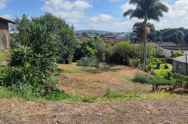 Terreno para venda,  Brasília, São Bento Do Sul