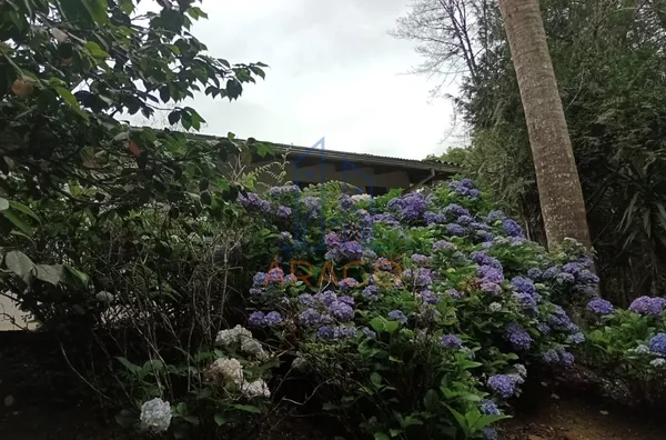 Chacará para venda, 2 quarto(s),  Cruzeiro, São Bento Do Sul