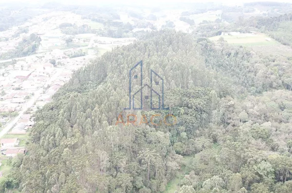 INVESTIMENTO - Terreno para venda,  Cruzeiro, São Bento Do Sul