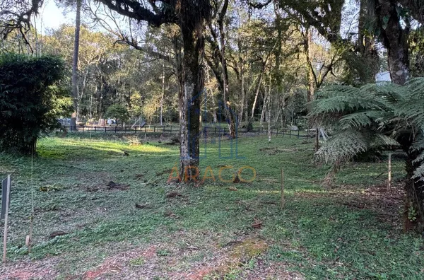 Terreno para venda,  Bairro Dona Francisca