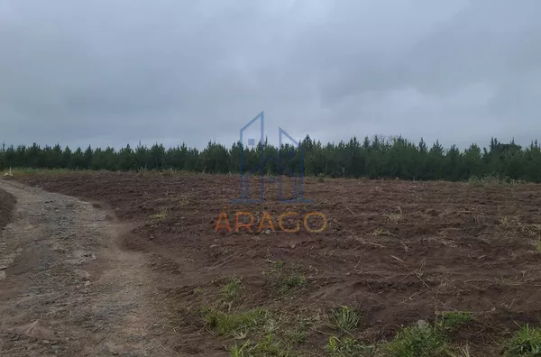 Terreno para venda,  Ponte Alta, Piên