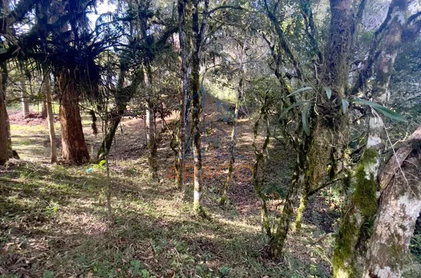 Terreno para venda,  Doce Grande, Quitandinha