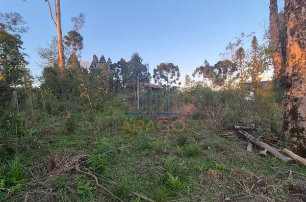 Terreno 1103m² ,  Alpino, São Bento Do Sul