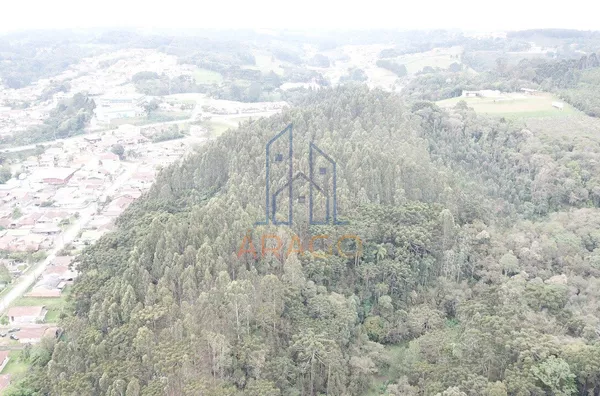 INVESTIMENTO - Terreno para venda,  Cruzeiro, São Bento Do Sul