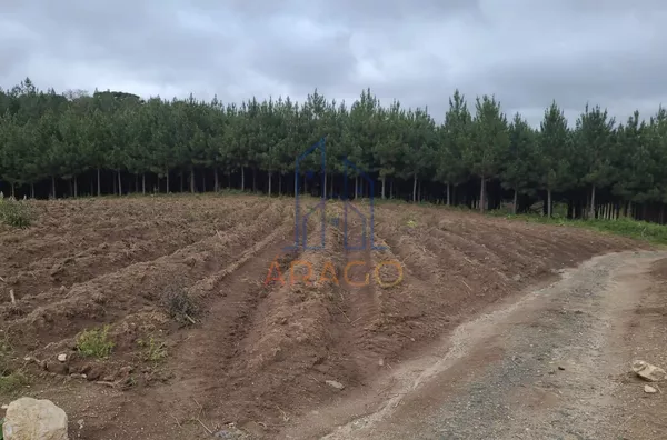 Terreno para venda,  Ponte Alta, Piên