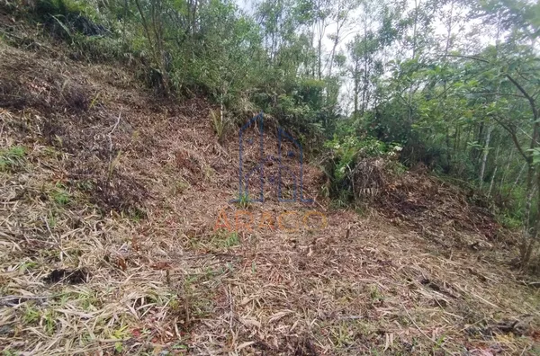 Terreno para Venda,  Serra Alta, São Bento Do Sul