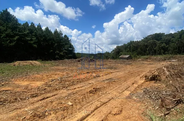 Terreno para venda,  Serra Alta, São Bento Do Sul