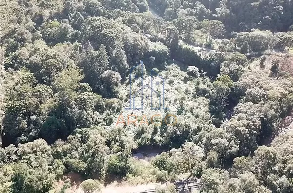 Terreno para venda,  Rio Natal, São Bento Do Sul