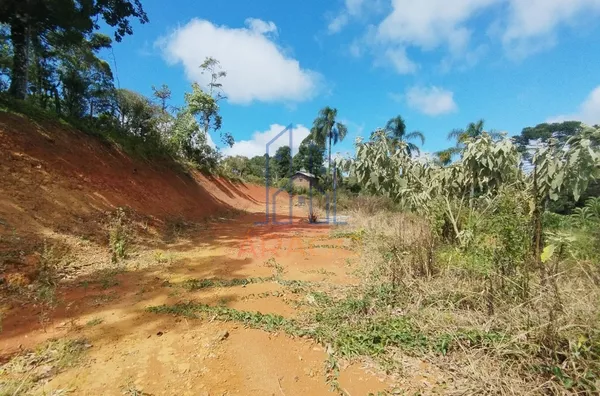 Terreno EXCELENTE PARA CHÁCARA - venda,  Serra Alta, São Bento Do Sul